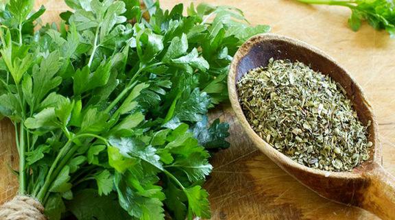 خرید سبزی خشک از فرانسه و اروپا سبزی خشک گشنیز مهیار